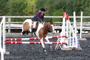 Class 5 - Fences not above 2'6